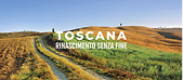 Logo toscana rinascimento senza fine